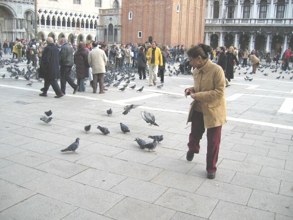 manasi_pigeons.jpg